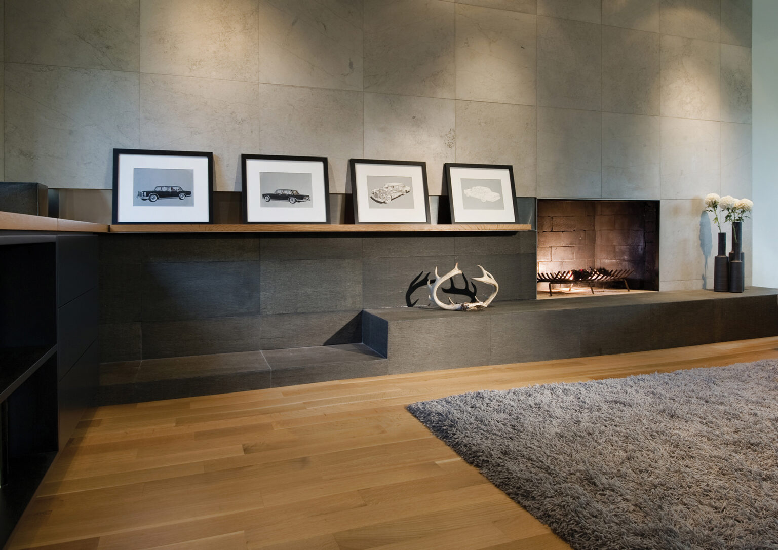 Baby Point Renovation