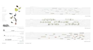Nexus_Park_City_Plan_1
