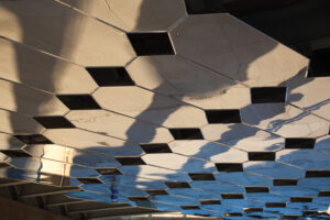 WTO-001_IMG_L1-Panel Close Up Diagonial-by_Steven_Evans