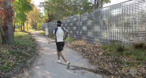 LDV-001_RND_S1_North cadence