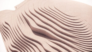 RWP-001_The Open Hand